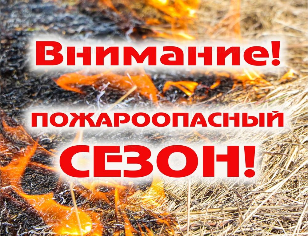 Собственникам земельных участков, прилегающим к лесонасаждениям: Правила пожарной безопасности, обязанности и ответственность.