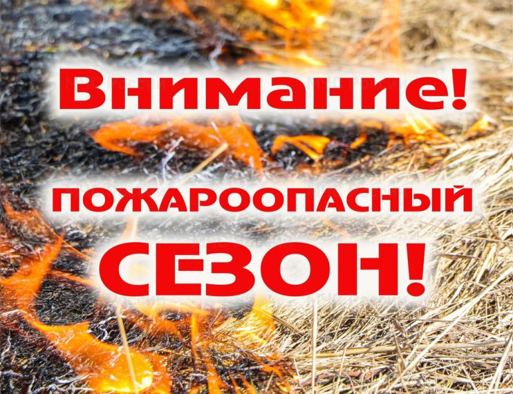 Собственникам земельных участков, прилегающим к лесонасаждениям: Правила пожарной безопасности, обязанности и ответственность. Собственникам земельных участков, прилегающим к лесонасаждениям: Правила пожарной безопасности, обязанности и ответственность.